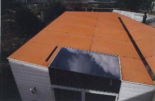 herenhuis-woonkeuken-daklicht dak - hollands huis